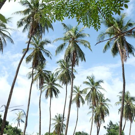 Hostal Centre Touristique Et Culturel Casamance Diakene Ouolof Exterior foto