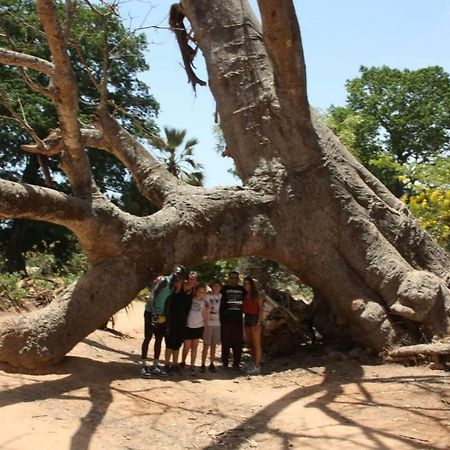 Hostal Centre Touristique Et Culturel Casamance Diakene Ouolof Exterior foto