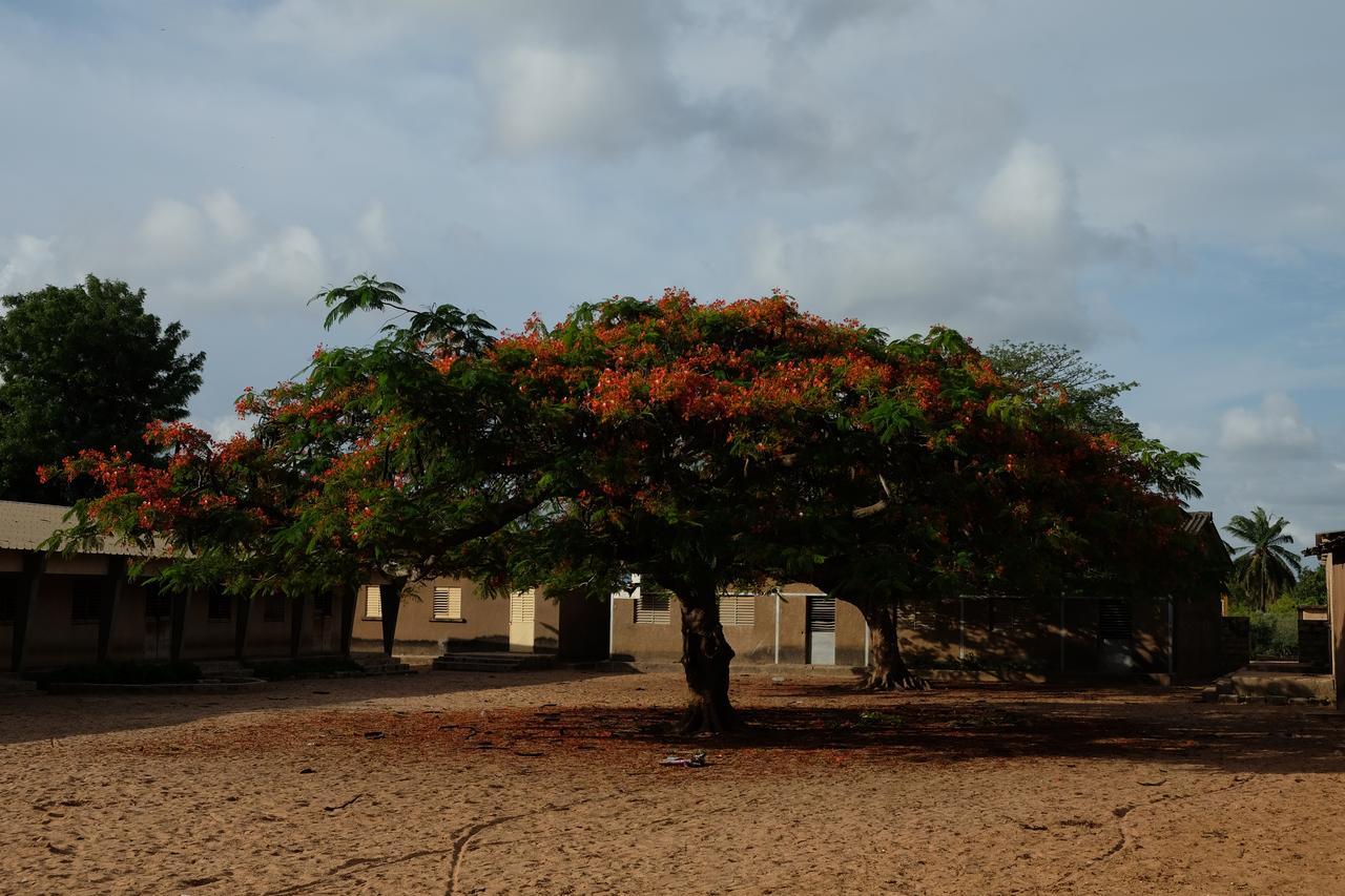 Hostal Centre Touristique Et Culturel Casamance Diakene Ouolof Exterior foto