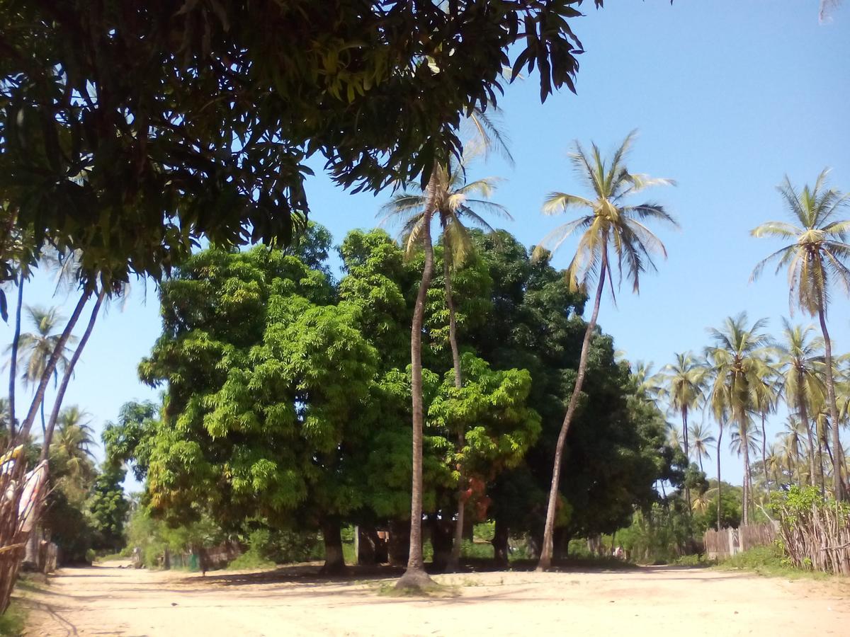 Hostal Centre Touristique Et Culturel Casamance Diakene Ouolof Exterior foto