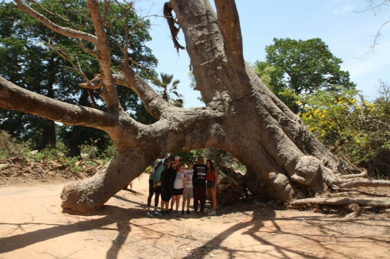 Hostal Centre Touristique Et Culturel Casamance Diakene Ouolof Exterior foto