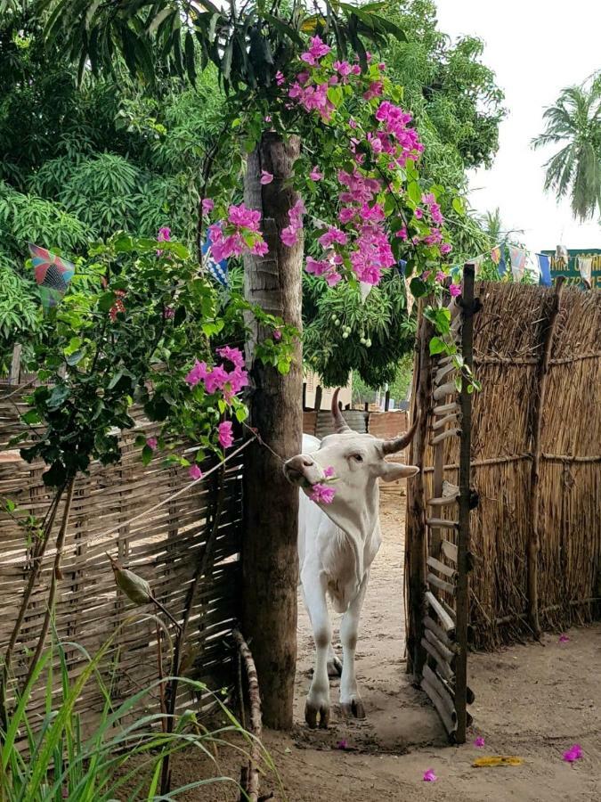 Hostal Centre Touristique Et Culturel Casamance Diakene Ouolof Exterior foto